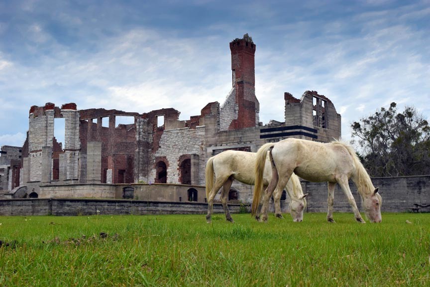 Discover Cumberland Island - Georgia's Largest Barrier Island