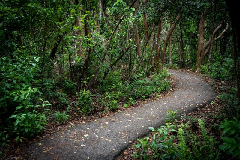 Hike Or Bike Black Creek Trail Across Fleming Island